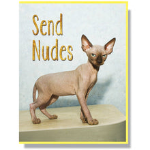Load image into Gallery viewer, Send Nudes Card
